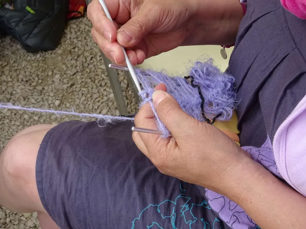 Laine près de Seurre